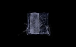 2014 12 15 Shadow Play 028-black.jpg